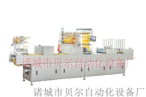 全自動拉伸膜食品包裝機械 真空包裝機 山東廠家直銷